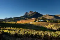 매리앤 와인 에스테이트