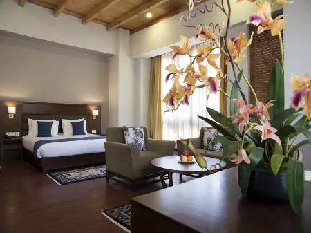 CityHotel, Thimphu Отели в г. Тхимпху