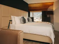 Hotel Dakota Hotels in Meiringen
