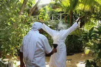 Coco Unlimited - spa