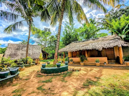 Maika Safari Отели в г. Udawalawa