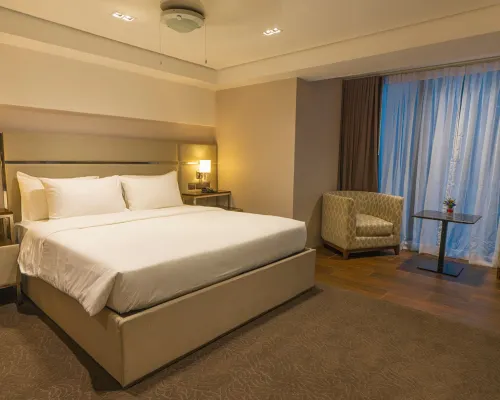 The Plaza Lodge Baguio Hotels in Baguio