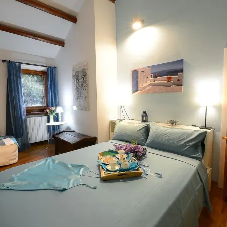 B&B Glicine