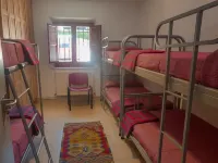 Hostel El Oso Pardo Hotels in 