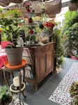 Hotel le Patio Hotels in Theoule-sur-Mer