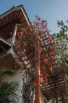 Bangsring Breeze Hotels in Wongsorejo
