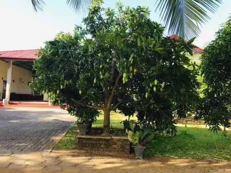 Rivonway Hotel Polonnaruwa