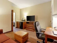 Quality Suites San Antonio Northeast Hotels in Bexar County