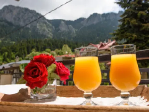 Mikri Arktos Hotels in Ethikes