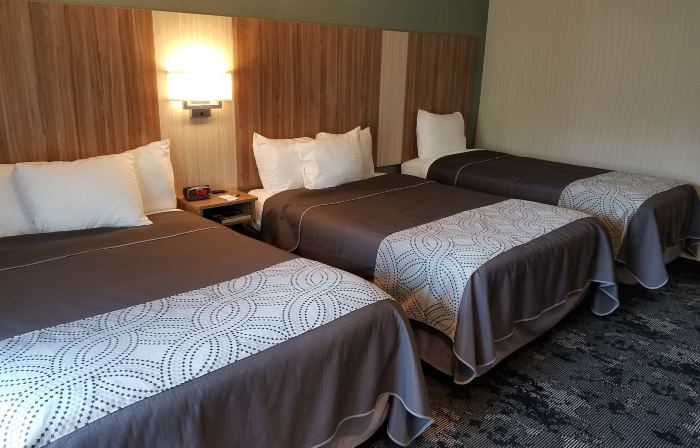 AArtpark Hotel Inn at Lewsiton