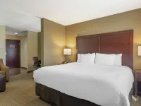 Comfort Suites Locust Grove Atlanta South Hotels in Locust Grove