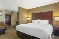 Comfort Suites Locust Grove Atlanta South