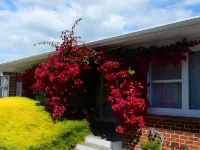 Classic Motel - 3 stjerner