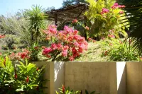 Vida Aventura Ranch Hotels near Rincon de La Vieja National Park