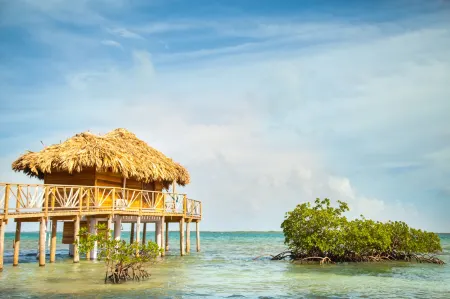 Thatch Caye Resort a Muy'Ono Resort Отели в г. Дангрига