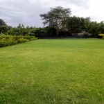 Petluck Resort Naivasha