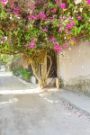 Casa Hotel Nurandy Hotels in 