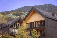 Superior 1-bedroom Apartment Hotels in Schruns