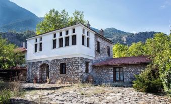 260m2 Unique Mountain House in Lilea Parnasos