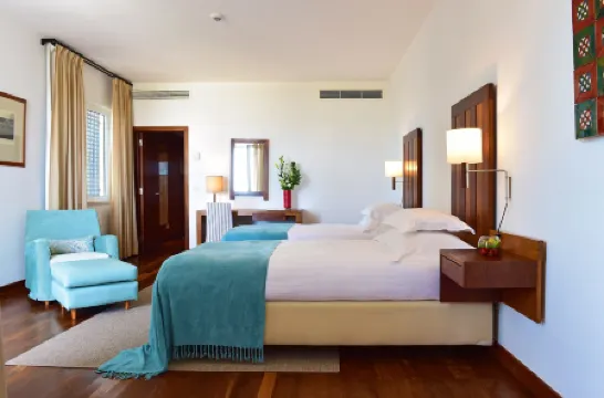 卡斯特洛阿爾卡塞爾多薩爾酒店-歷史酒店