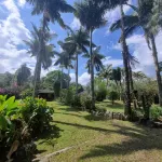 CABAÑAS EL PARAISO EN FILANDIA