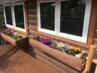 Denali Park Homestead house, Just one mile North from the Park Entrance