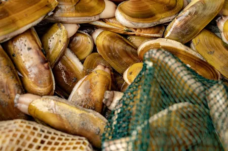 Chateau Westport Отели рядом с достопримечательностью «P. Kelly Boss Ocean Walk Landing»