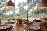 Nature Cabin on private estate and Coast Barcelona with Wellness. Maresme 호텔