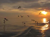 KER BODEGA, POOL AND SEASIDE Hotel a Mesquer