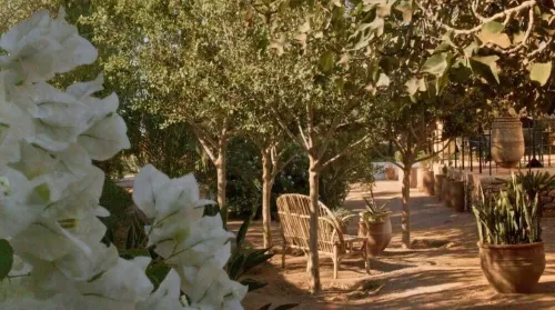 Villa Haut Standing Avec Piscine Chauffée,12 Pers. Essouira