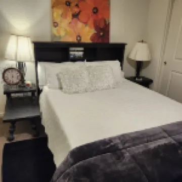 PASSAGE TO YOSEMITE - NEW SPACIOUS APARTMENT- PET FRIENDLY