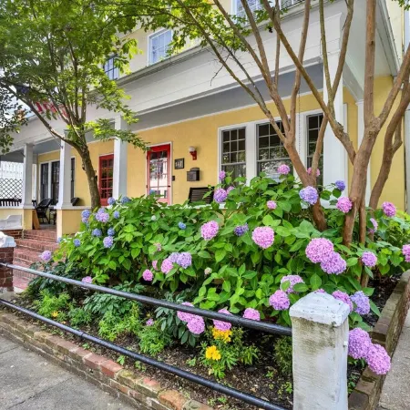 Historic & sunny home w/ Fireplace steps from USNA & Downtown Annapolis