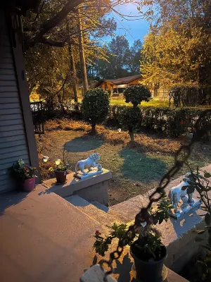 The Lyons Den - Great work place with high speed internet near downtown. Hotels near The Jackson Zoo