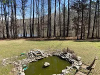 Pat's Place ~ Lovey’s at the Lake