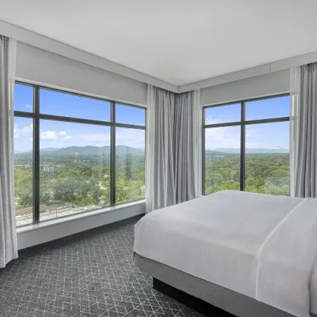Embassy Suites by Hilton Asheville Downtown