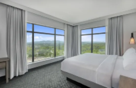 Embassy Suites by Hilton Asheville Downtown