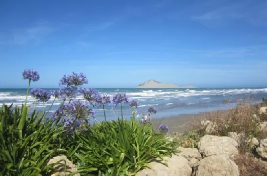 Birdsnest@PORT O BEIJO -Relaxed Accommodation Hotels in 