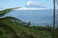 Bungalow in the jungle Hotel a Turrialba