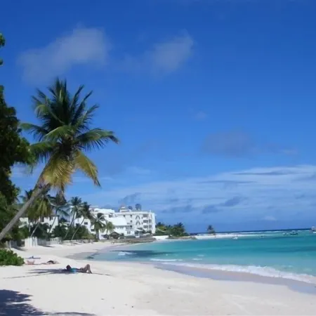 See, Feel, Experience Barbados