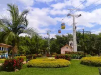 Guaduales del cafe 304