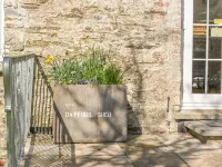The Daffodil Shed - Wifi