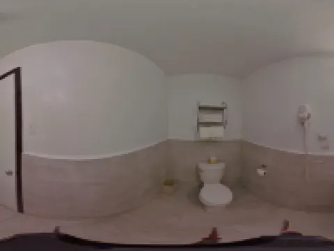 Buffalo Inn Vintage Motel Hoteles en Canyon