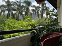 Casa Bugambilia, Un Pequeño Hotel en Tepoztlán - วิวภูเขา