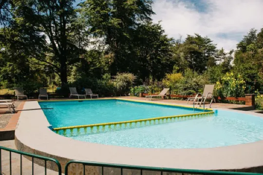 Cabañas Metreñehue - Parque Metreñehue