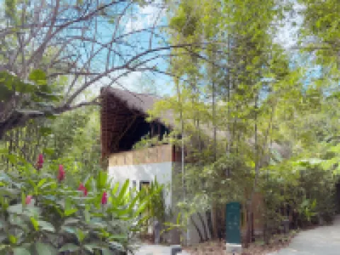 Gran Tamoanchan Hoteles en Tancanhuitz