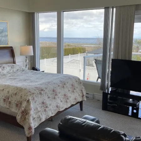 Buena Vista by the Sea