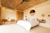 Casa Borka Hotels in Brisas de Zicatela