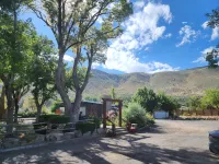 Toiyabe Motel - Motels