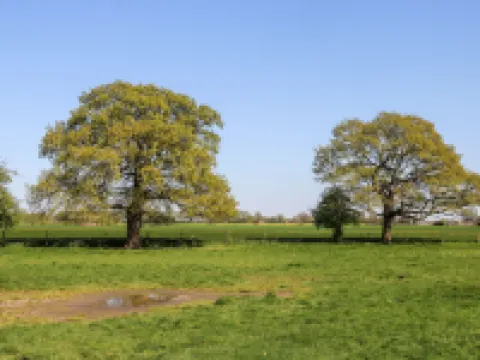 2 Pines Farm Cottages Hotels in Tadcaster