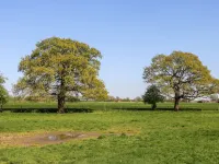 2 Pines Farm Cottages Hotel a Selby
